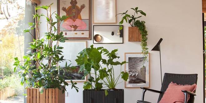 Pflanztöpfe mit Selbstbewässerung