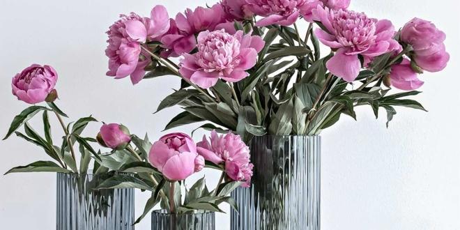 Es tut sich etwas im Mai